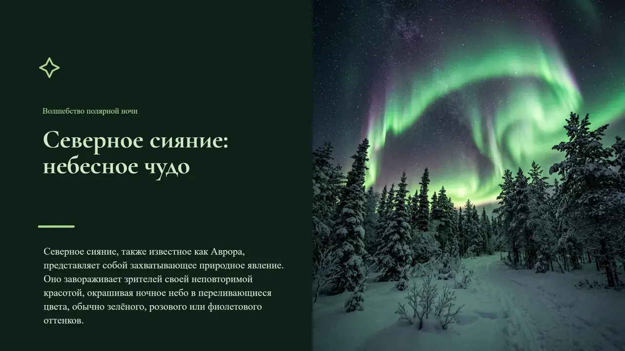 Пример презентации