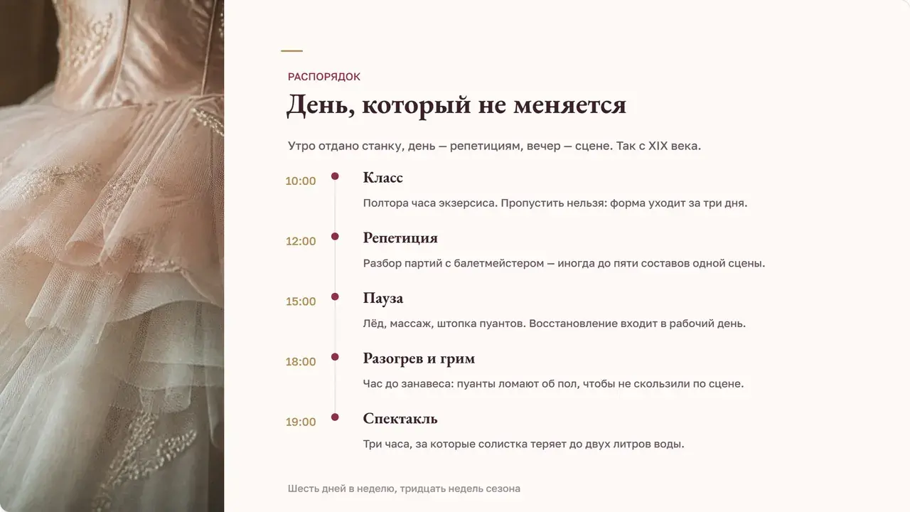 Пример презентации