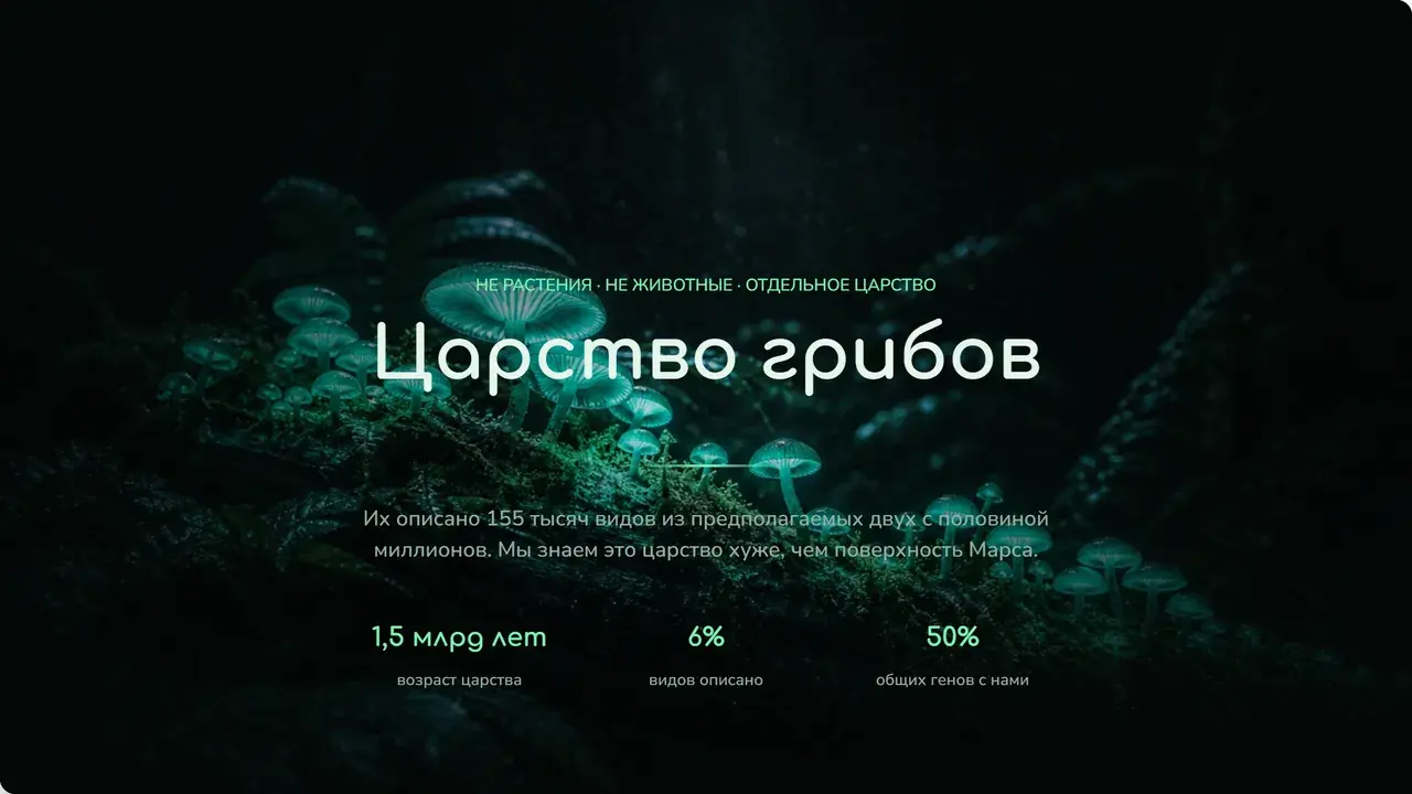 Пример презентации