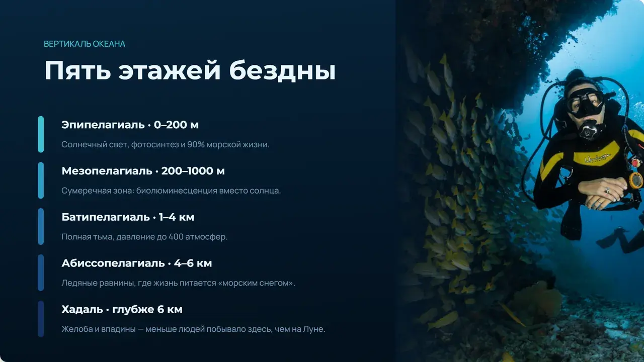 Пример презентации