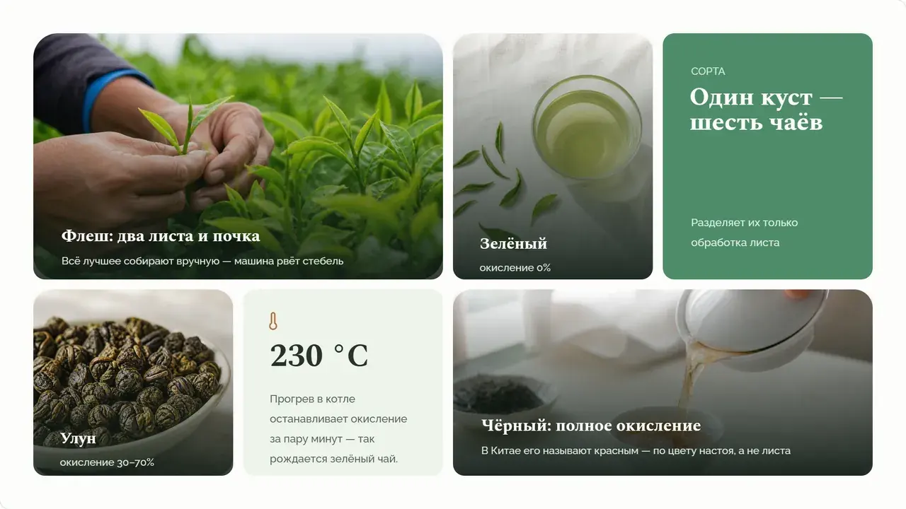 Пример презентации
